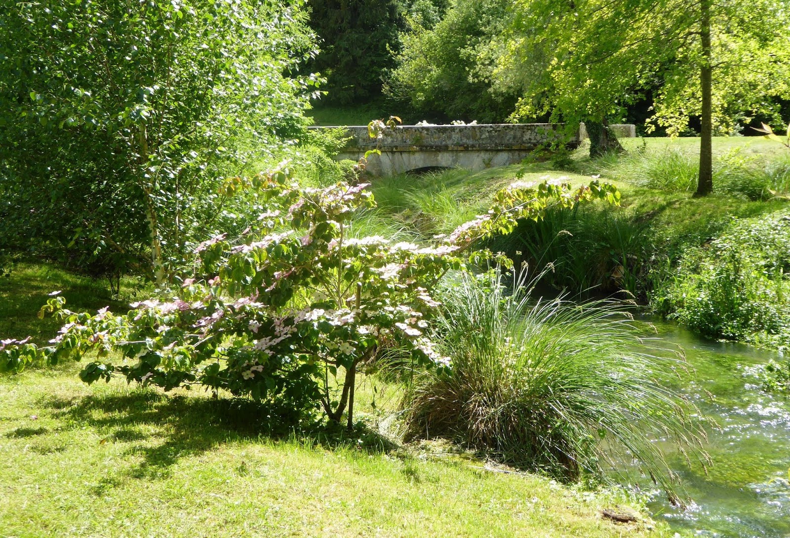 GeoDaszner chronique la Nièvre Ruisseau remarquable.