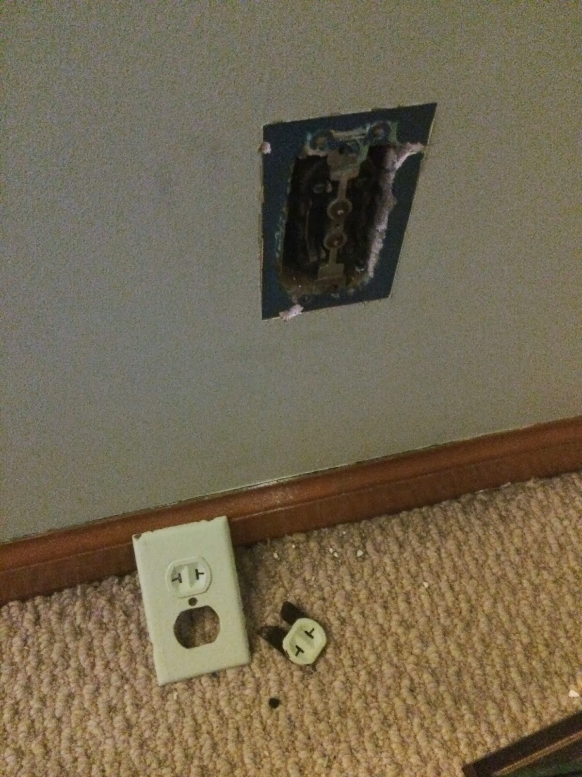 BungalowToBe New Outlets Deliver Shocking Results!