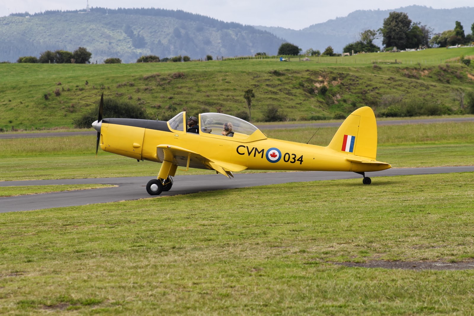 Tauranga Spotter Movements at Tauranga