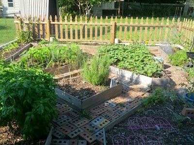 Perfect Backyard Vegetable Garden Plan: Feed Your Family Fresh!