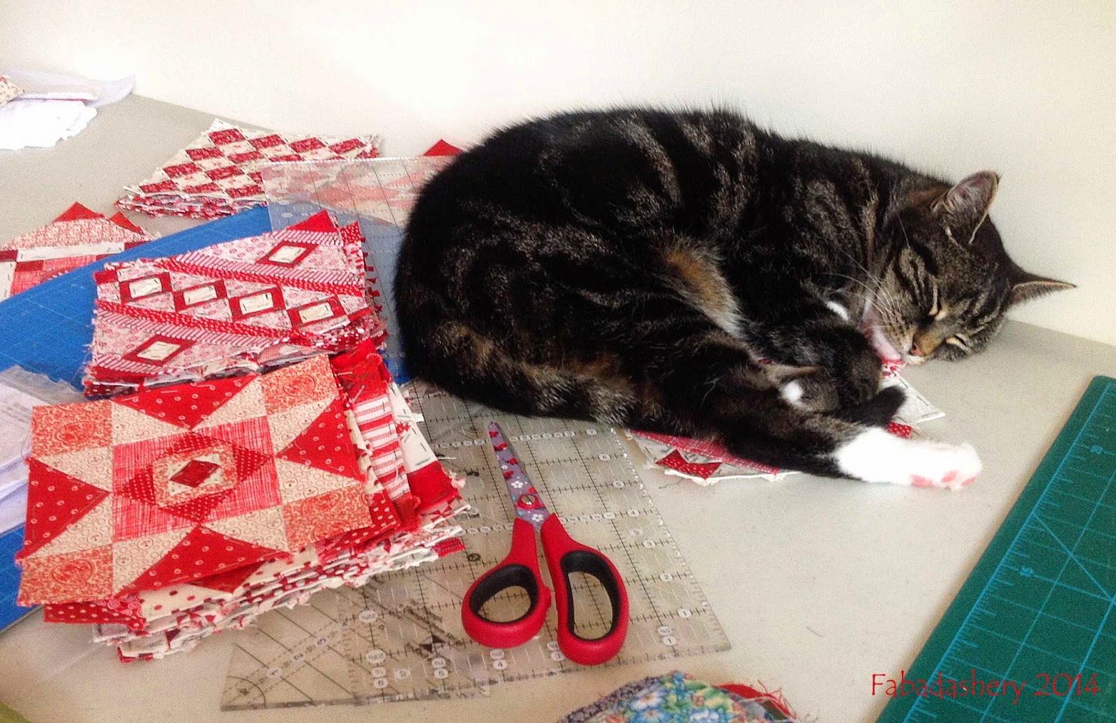 Nearly Insane Quilt Blocks cat sleeping