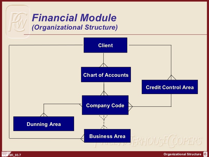 Organizational Structure In Sap Fico