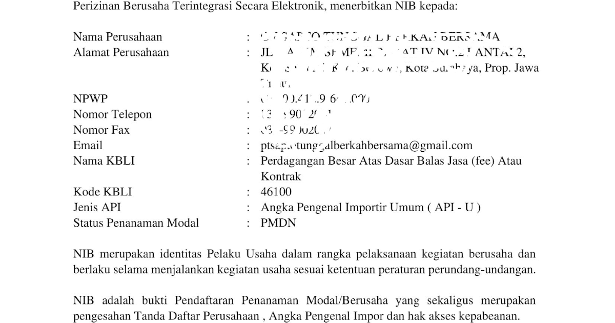 Contoh Surat Api Up Nomor Induk Berusaha Nib Indonesia