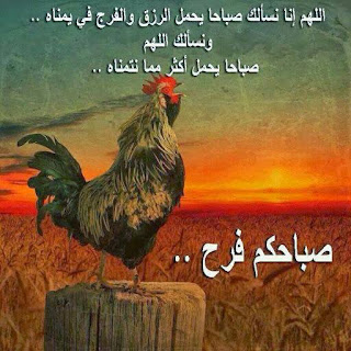 صورة