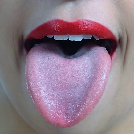 Gambar Lidah Beserta Bagian-Bagiannya | Ilmu Sosial