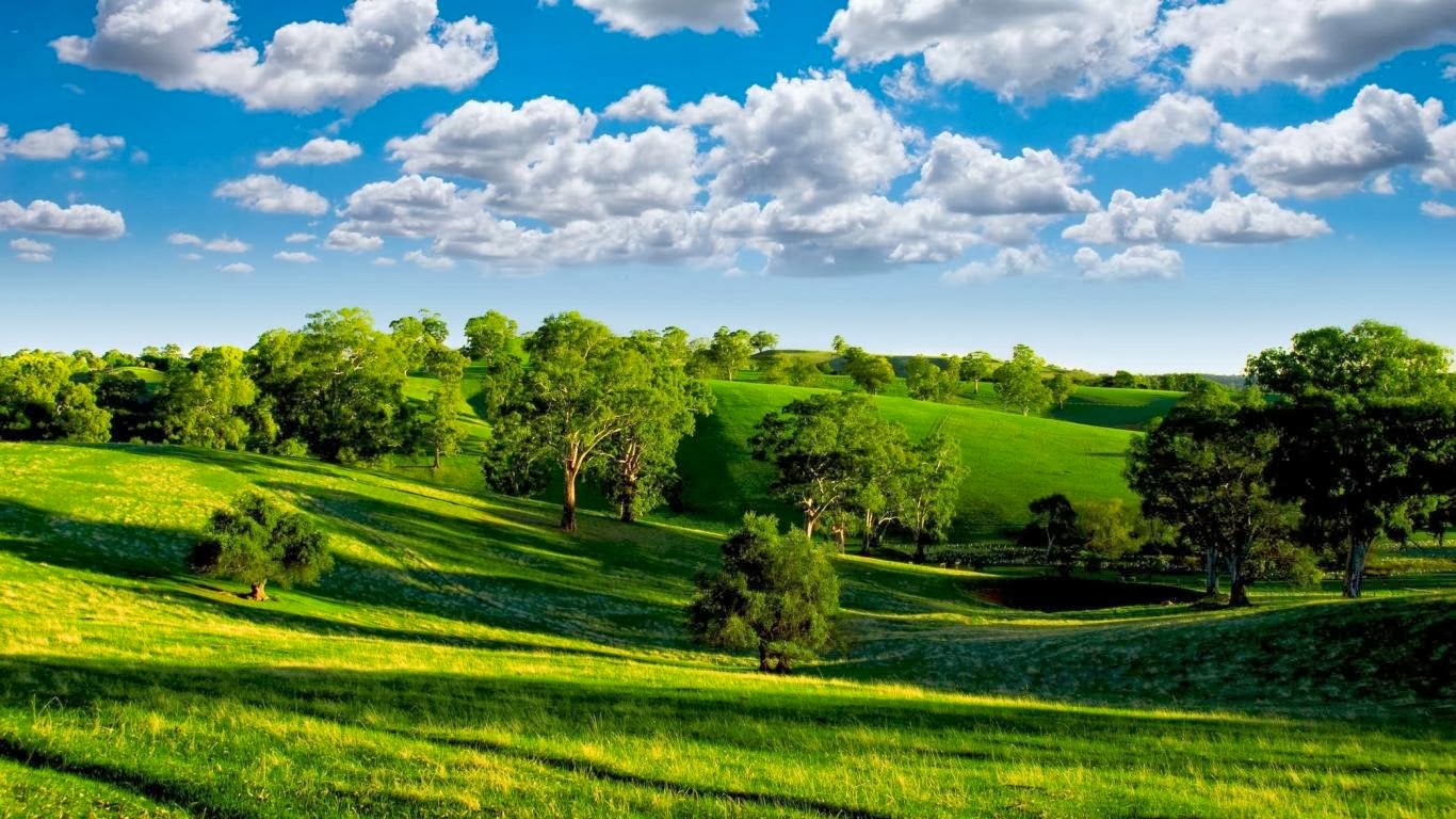 HD Green Landscape wallpapers | Nice Pics Gallery