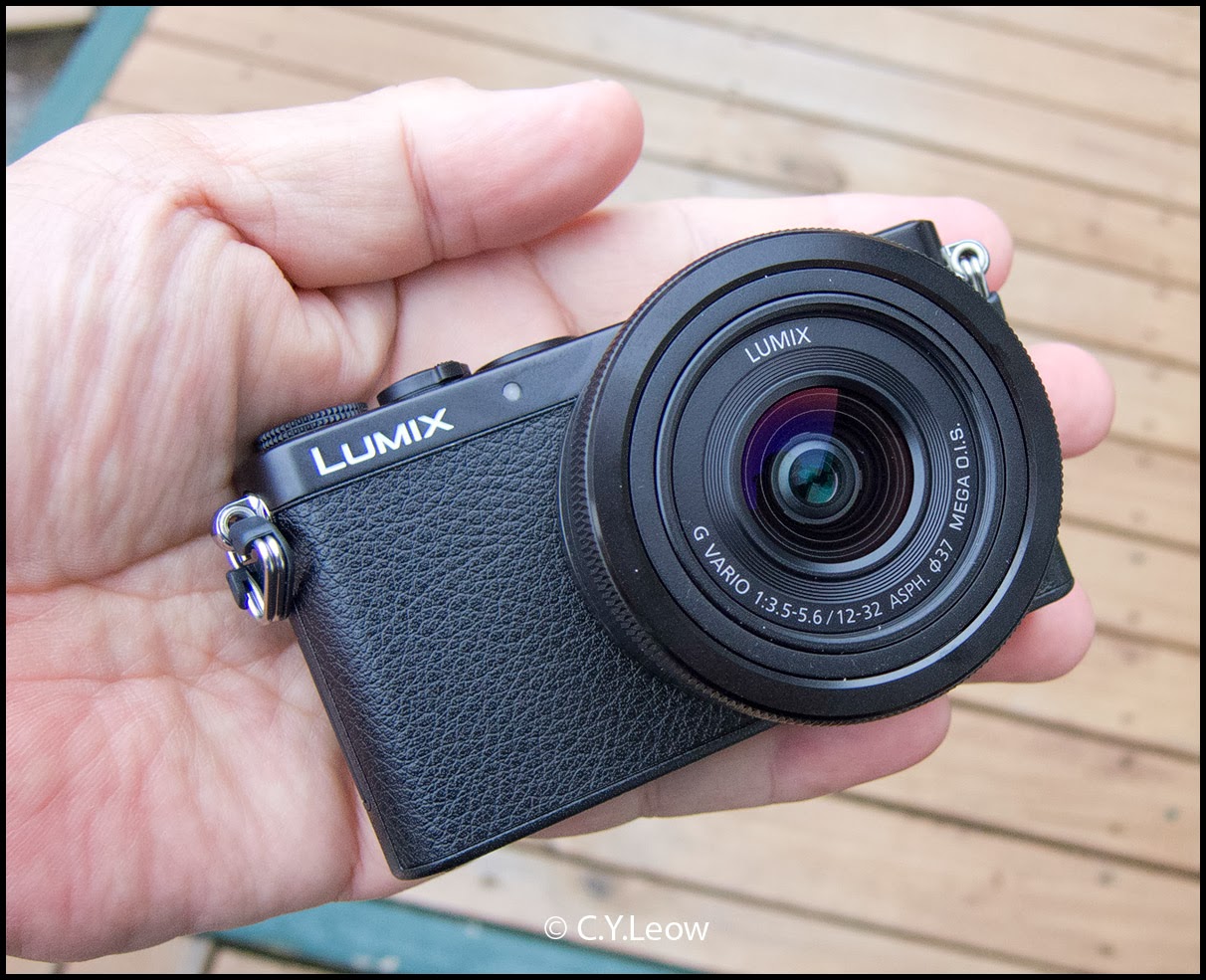 Man Behind Lens: Lumix DMC GM1, First Impression