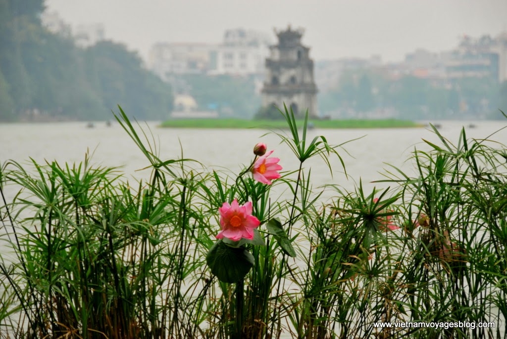 Buổi sáng ở Hồ Gươm, Hà Nội