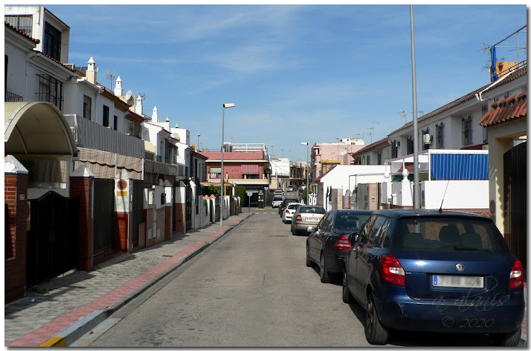 Calle Alejandro Collantes