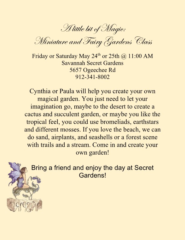 Savannah S Secret Gardens Make Your Own Fairy Garden