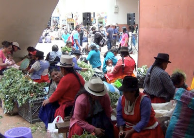 Equateur-Cuenca guérisseuses