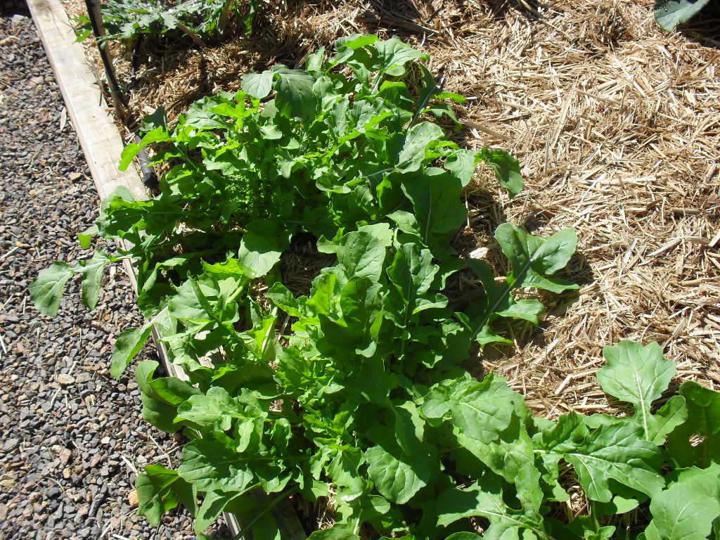 cardinal cyn: September 2012