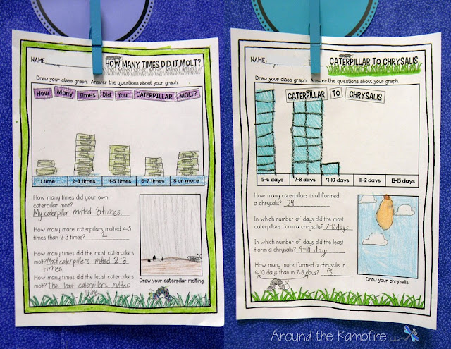 Butterfly math~Graphing activities to do while raising caterpillars to butterflies