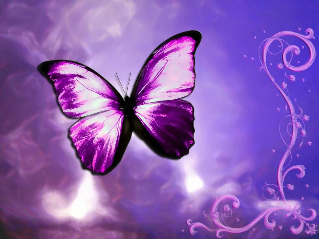 Collection#69 Lovely Butterflies With Roses Wallpapers - Wallpaper hd