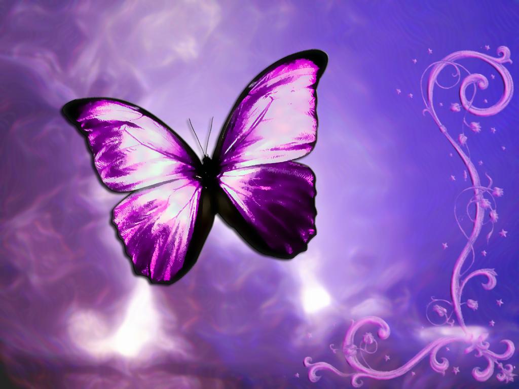 Lovely Butterflies With Roses Wallpapers - Wallpaper hd
