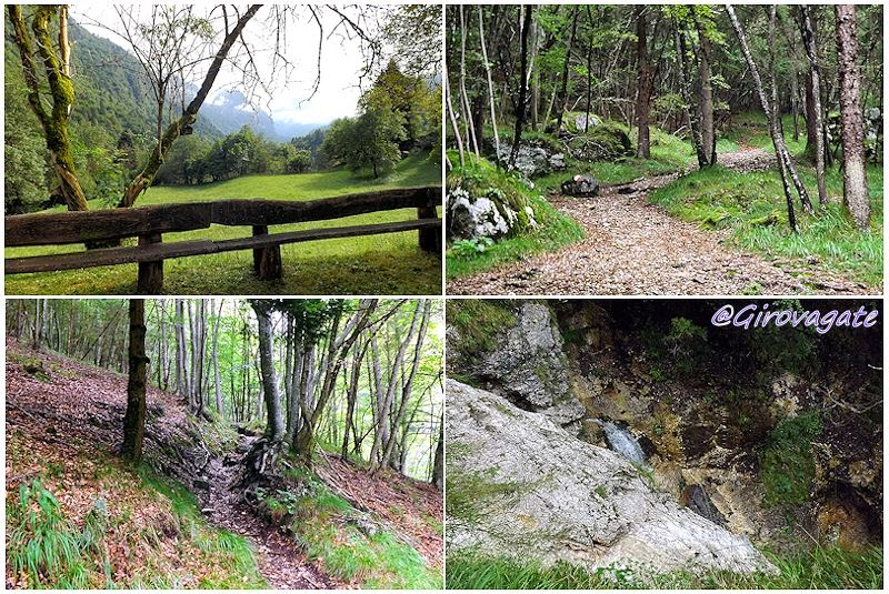 parco dolomiti bellunesi trekking anguane