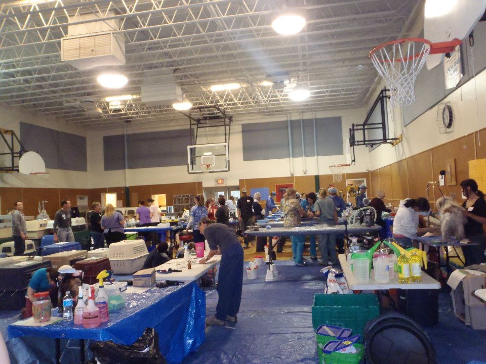 Bridlewood Veterinary Clinic Alberta Spay Neuter Task Force