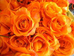 orange flowers roses rose colors meaning bunch flower pretty background chocolate brown topics interesting random desktop incredible