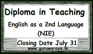 Diploma in Teaching English as a Second Language (NIE)