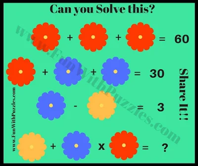 Equations in Fun Visuals: Mathematical Picture Puzzle-10