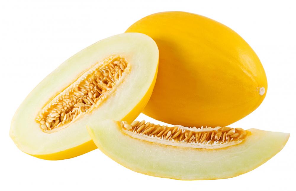 La Directory Dei Rimedi Naturali Il Melone Giallo o Gialletto