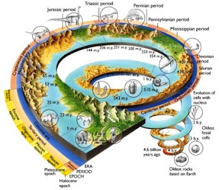Image result for earth in biology