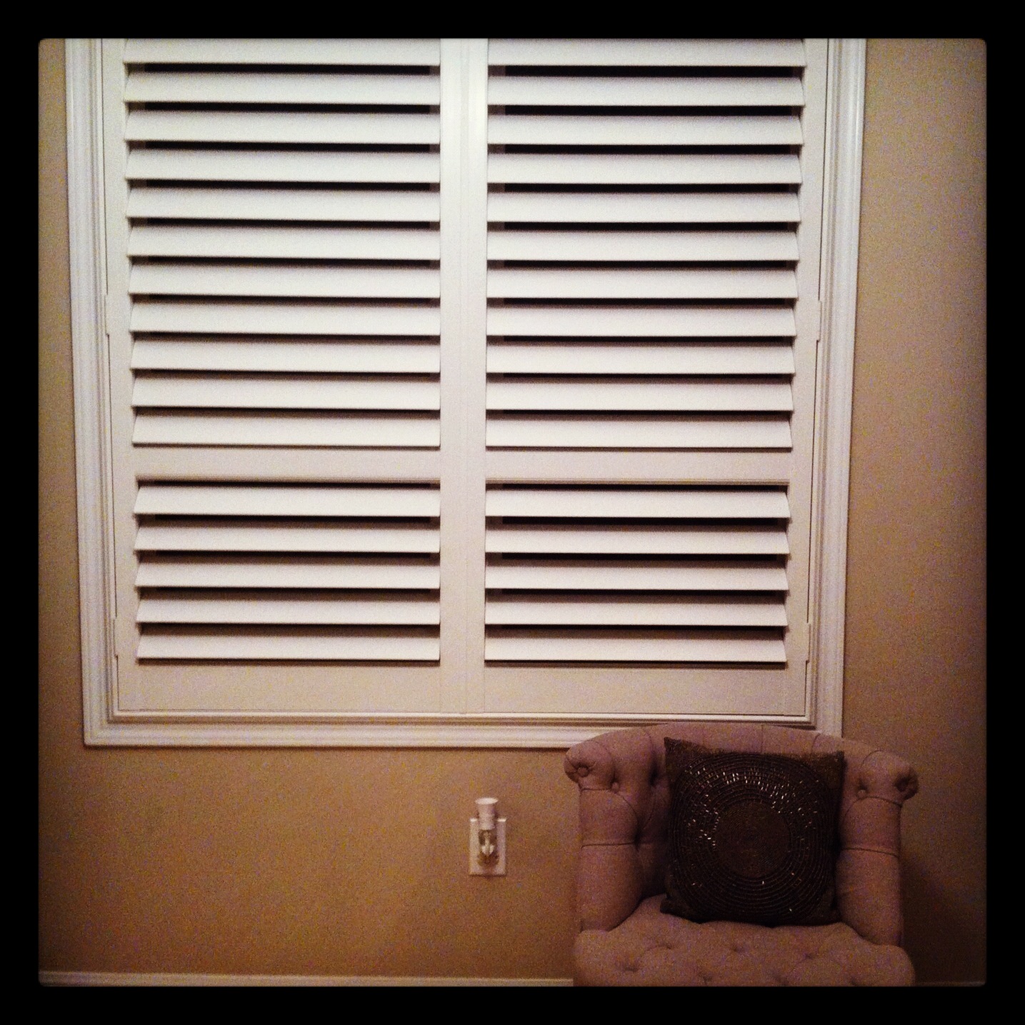 cute lions roar goodbye paper blinds!
