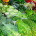 7 Vegetables That Makes You Gain More Weight Without Your Knowledge