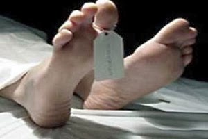 Nenek Tewas Tertimpa Pohon Setinggi 30 M