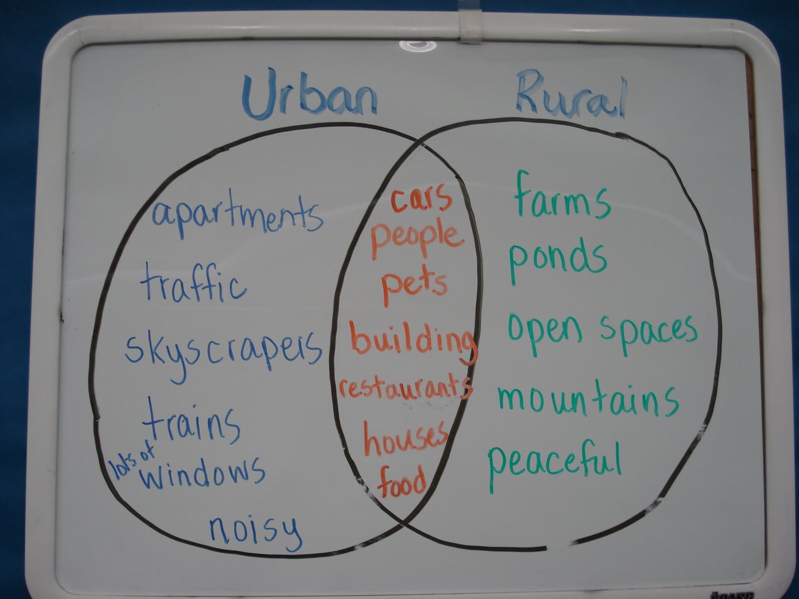 Mrs. Gavalis' Classroom Blog: Reading Street Begins!