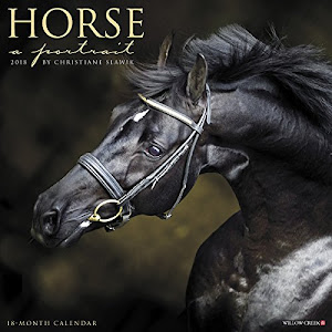 Horse a Portrait 2018 Calendar