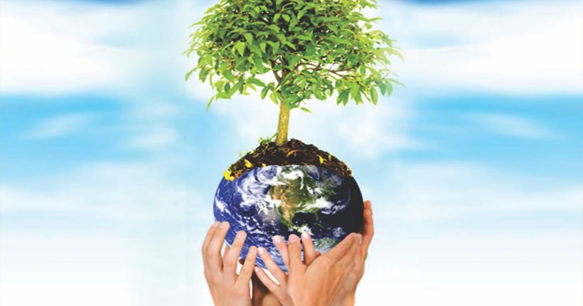 germana-sales-preserva-o-do-meio-ambiente-ampa-estamos-nesta-luta
