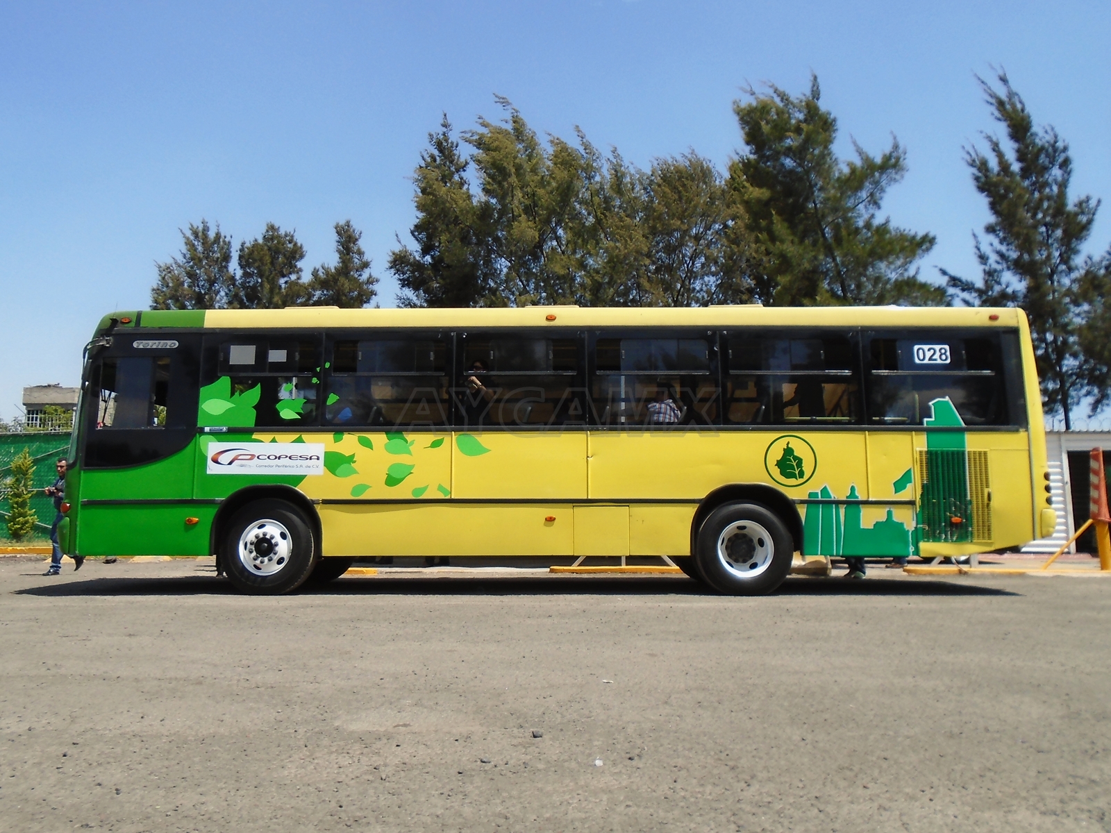 AYCAMX Autobuses y Camiones México Camiones Ciudad de México 302