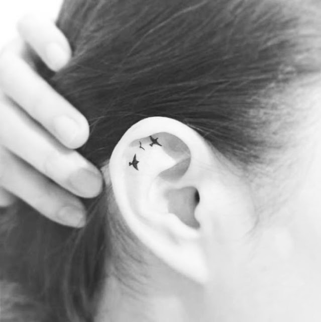 Tatuagens de aves para as mulheres Tatuagens de aves para as mulheres