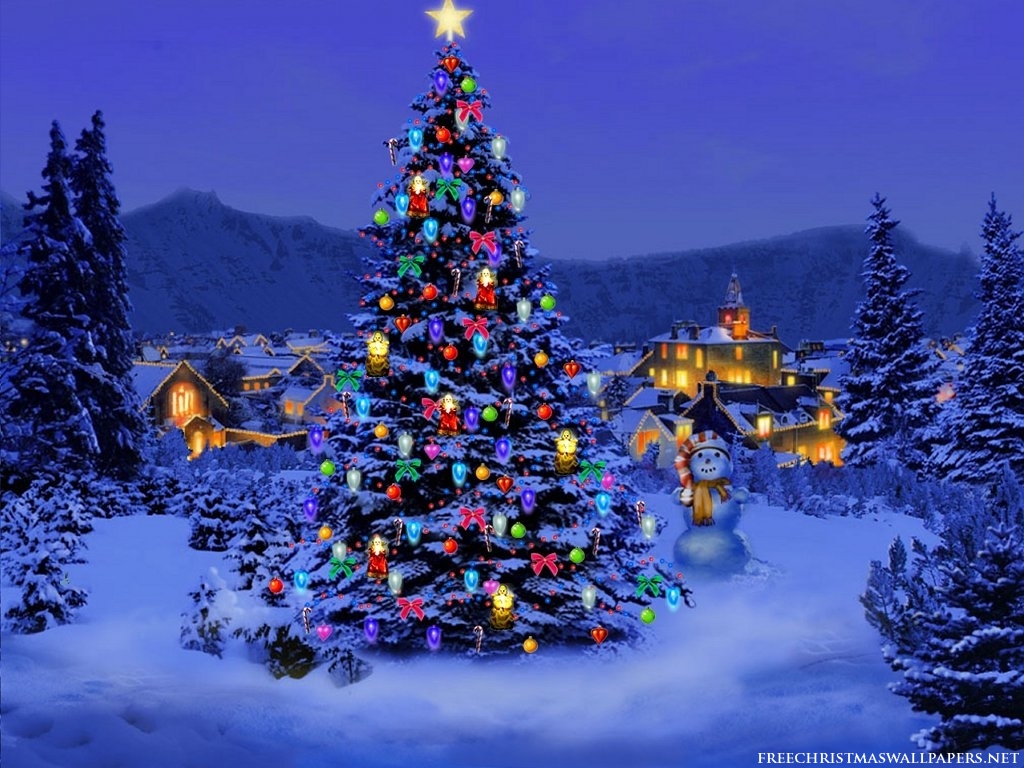 http://3.bp.blogspot.com/-MmbeW514SFE/TvWiiKoPRjI/AAAAAAAAAgc/pgR9JOADdVQ/s1600/Christmas-Tree-Nature1024-226431.jpeg