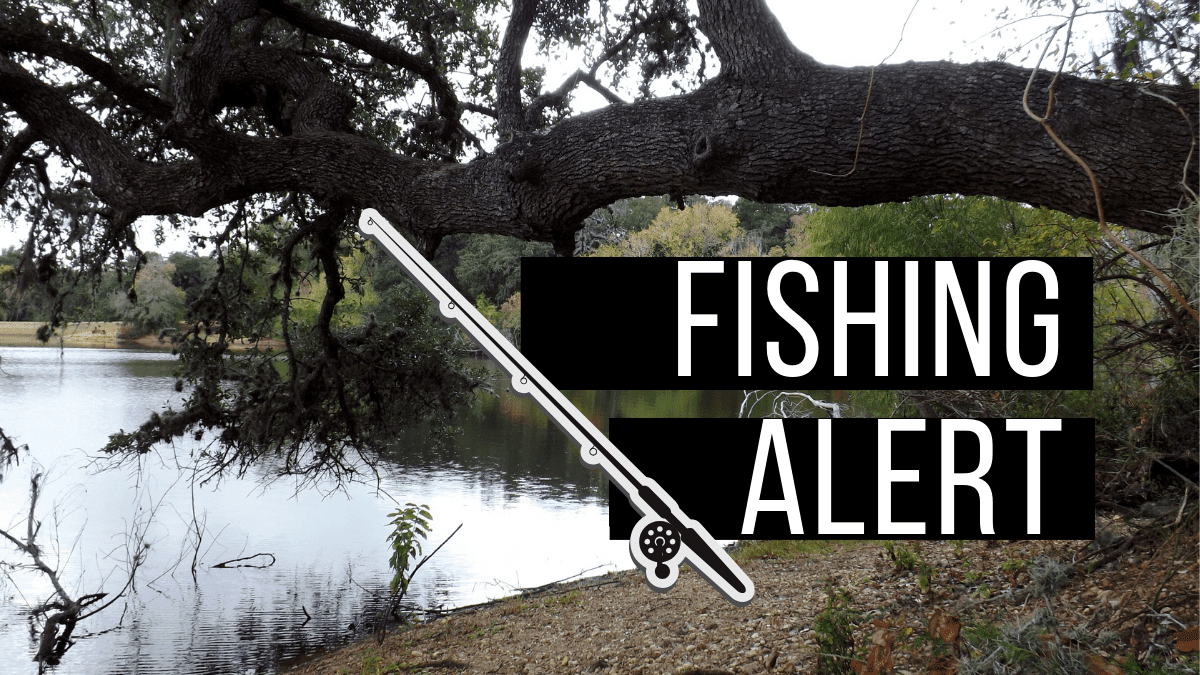 Crappie are biting at Lake Wright Patman