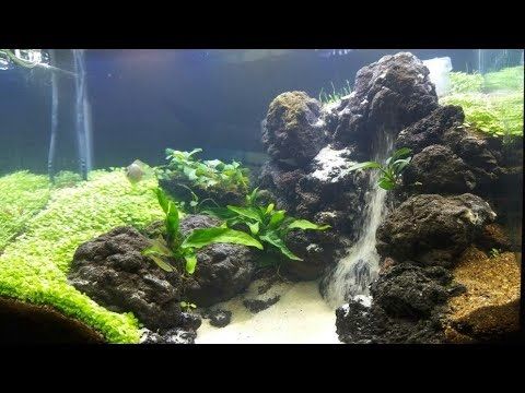 87 Gambar Air Terjun Aquascape Terlihat Keren 87 Gambar Air Terjun Aquascape Terlihat Keren