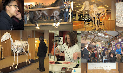 Open dag universiteit utrecht diergeneeskunde