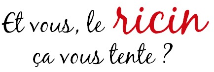 Pousse De Cheveux Rapide Et Naturelle L Huile De Ricin Pour