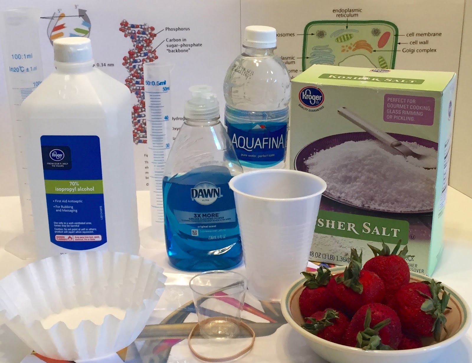 Adventures In Storytime (and Beyond) DNA Extraction STEAM Program