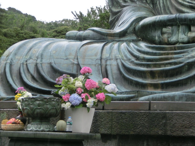 鎌倉大仏とアジサイ