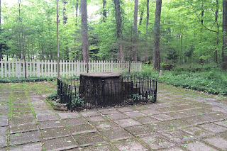 Stump with Fence