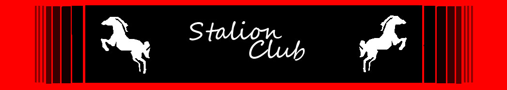 Stalion Club