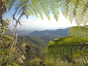 Spesial 50+ Panorama Alam Indah Payakumbuh, Pemandangan Alam