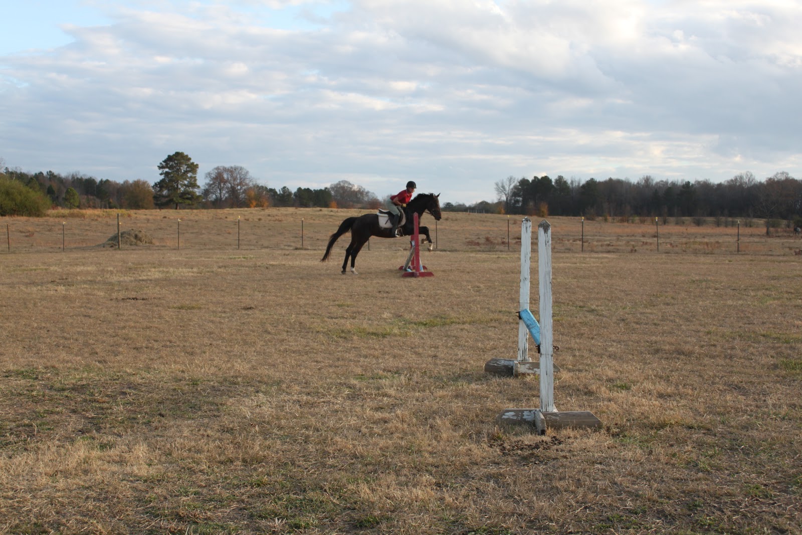 Springstone Horses Suppleness Using a Jumping Exercise to Improve