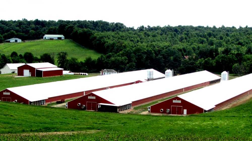 Salisbury Fish Hatchery
