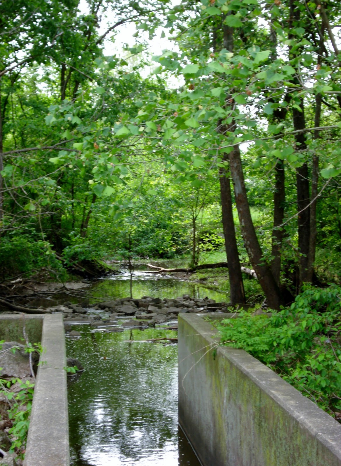 Experiencing Illinois The Spillway at Gillespie Lake