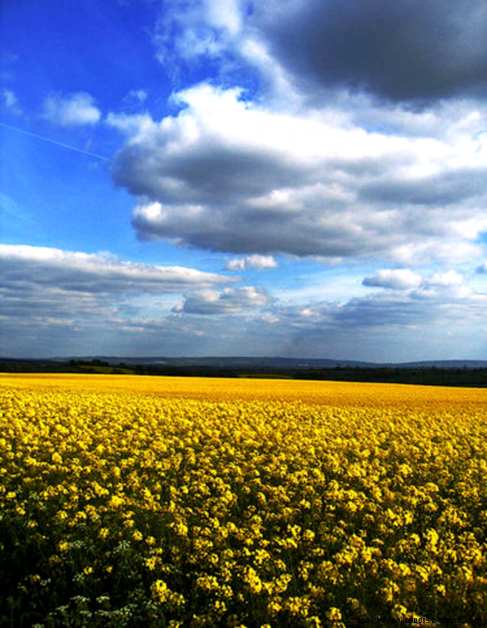 Spring Facebook themes Create your own Spring layout today