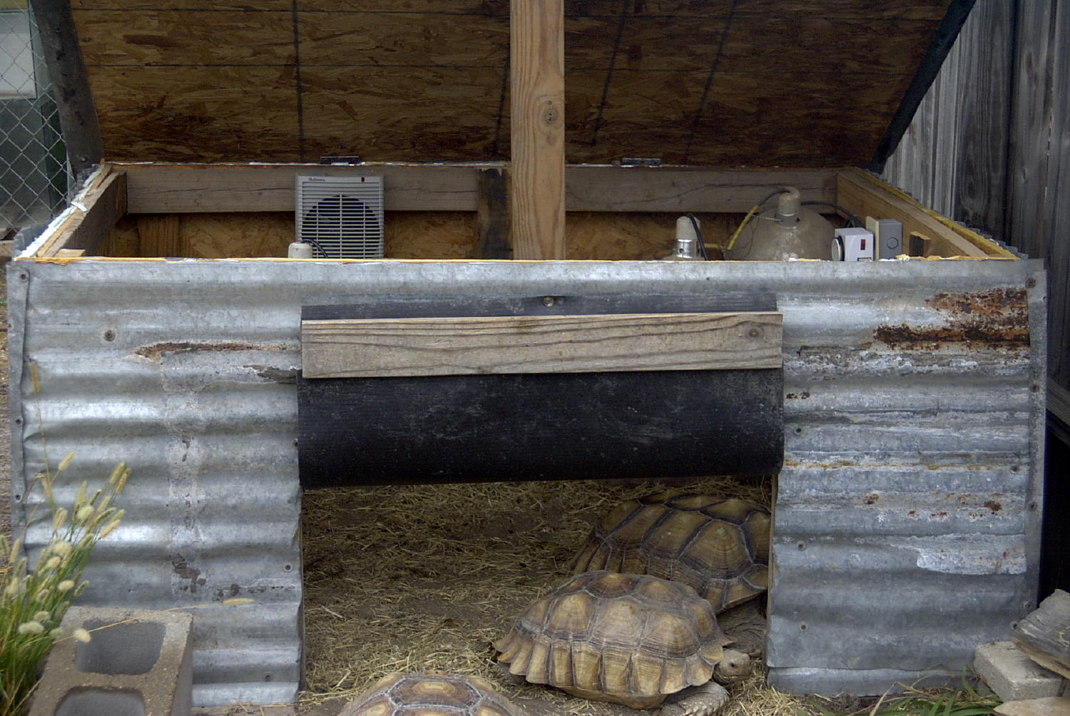 Building A Tortoise House Tortoise Types