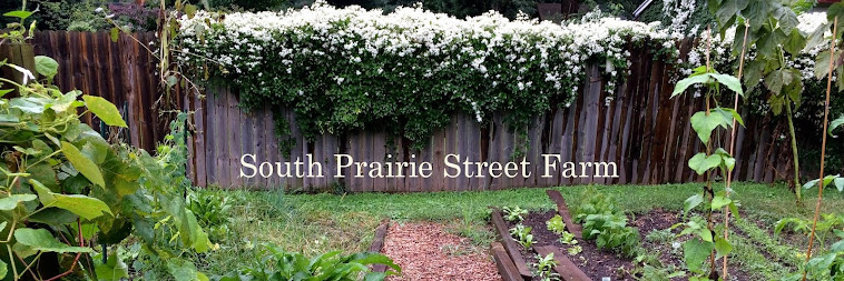 South Prairie Street Farm